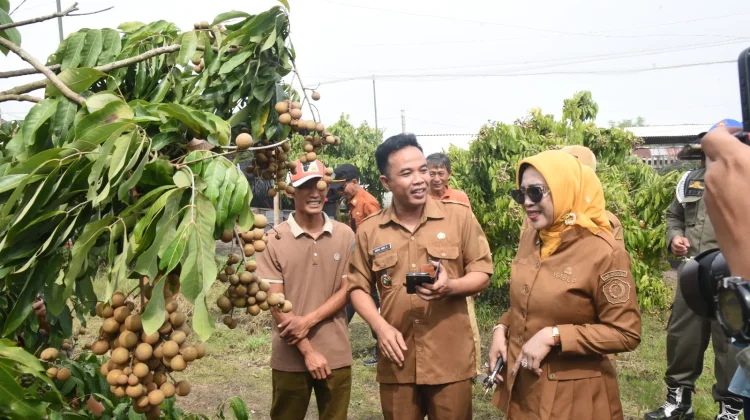 Wakil Bupati Sidoarjo, Mimik Idayana, mengapresiasi keberadaan wisata petik buah klengkeng di Yulianto Garden Farm