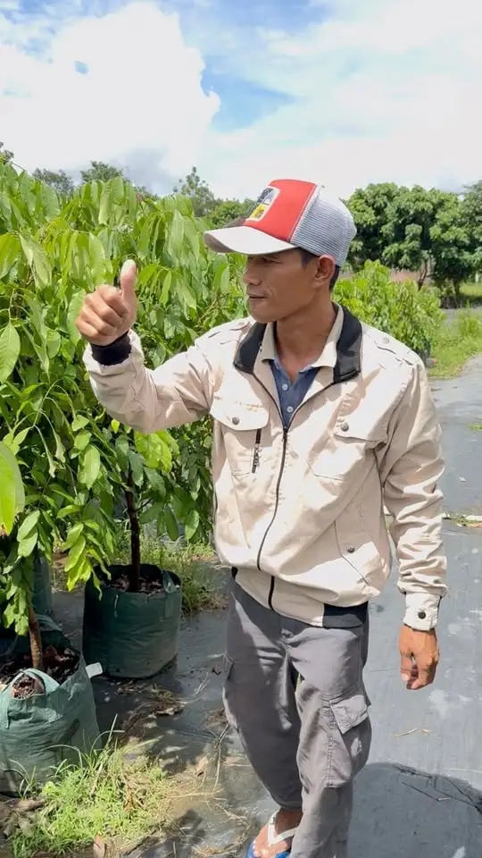 Cek Bibit di Magelang